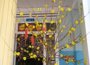 Không khí đón Tết Nguyên đán Nhâm Dần 2022 ở trường Mầm non Hoa Hồng Không khí đón Tết Nguyên đán Nhâm Dần 2022 ở trường Mầm non Hoa Hồng